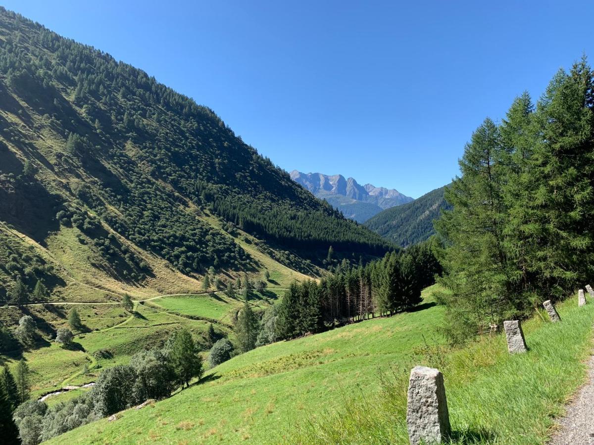 Baita Mirellina - Case Di Viso Ponte Di Legno Dış mekan fotoğraf